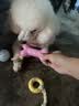 HELLOJOY狗狗玩具球小狗磨牙棒骨头耐咬狗咬胶小型犬宠物用品幼犬自嗨解闷 实拍图