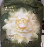 babycare皇室狮子王国弱酸纸尿裤新生儿NB68片(<5kg)婴儿尿不湿亲肤 实拍图