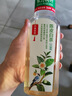 农夫山泉【新口味】东方树叶陈皮白茶500ml*15瓶无糖茶饮料0糖0脂0卡 实拍图
