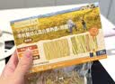 爷爷的农场碎碎面有机婴幼儿粒粒面200g 婴儿面条宝宝辅食儿童早餐6-12个月 实拍图