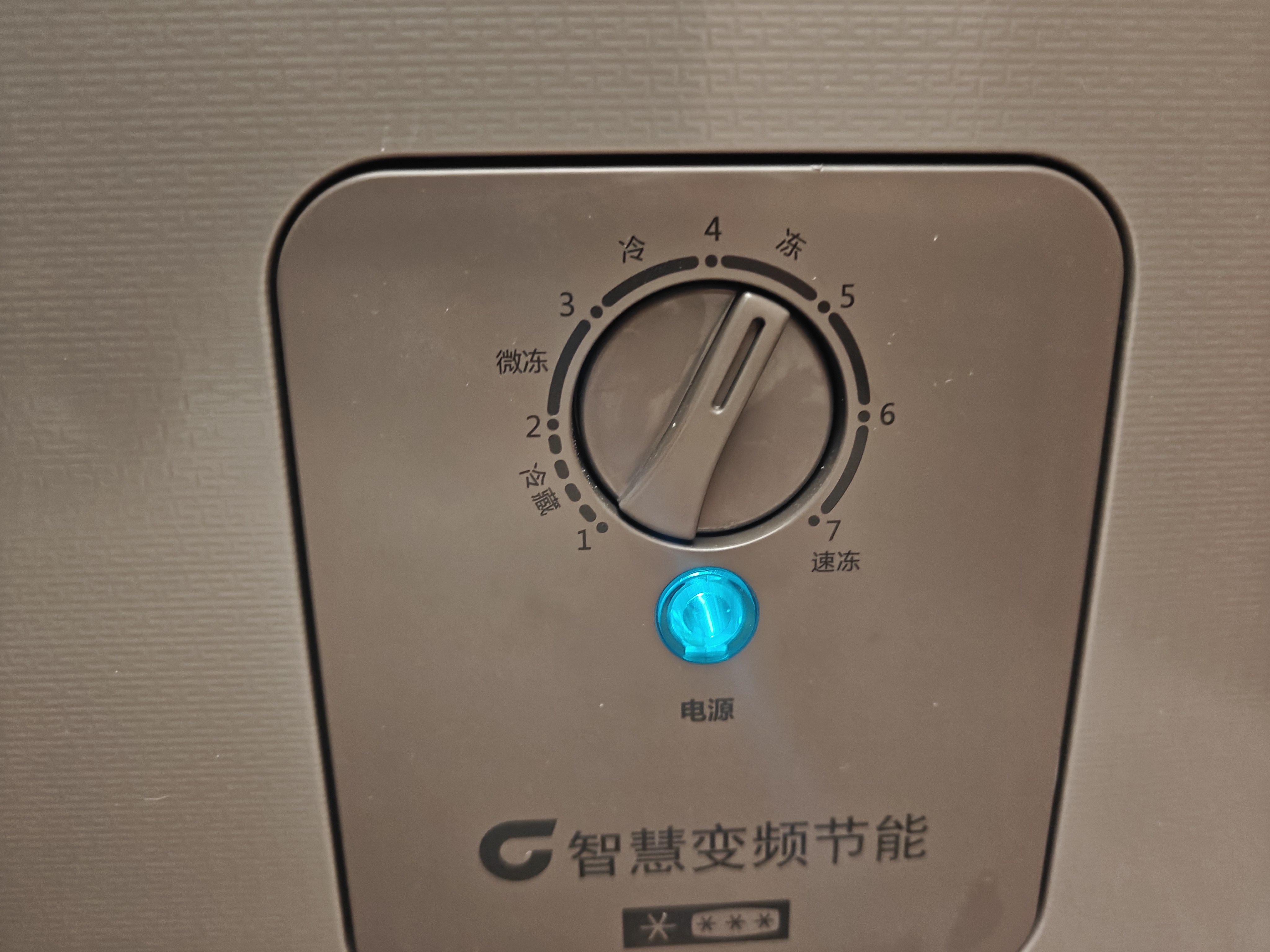 容声300L单温冰柜家用大容量冷柜冷藏冷冻两用变频新一级能效减霜-36℃电冰箱BD/BC-300ZMSMA国家补贴 实拍图