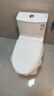 九牧（JOMOO）直冲马桶家用海旋大冲力一级水效大管径畅排抗菌坐便器11357 一级水效直冲式马桶11357 【坑距390以上选择】 400mm 实拍图