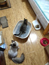 pidan猫砂 豆腐猫砂2.4kg*6包强力吸臭纯猫砂 可冲厕所非膨润土砂 实拍图