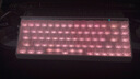 迈从（MCHOSE）Ace 68 V2磁轴键盘Gus同款RT电竞游戏低延迟60pro机械有线68键配列FPS双驱动无畏契约 Ace 68 V2 超竞版雾透白 宝马磁轴+RT键 实拍图