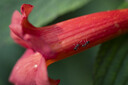腾龙（Tamron）A065S 70-180mm F/2.8 Di III VC VXD G2二代防抖大光圈长焦变焦全画幅微单镜头(索尼全幅E口) 实拍图