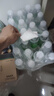 依能 青柠檬味苏打水饮料 无糖无汽弱碱 500ml*24瓶 塑膜装饮品 实拍图