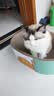 疯狂的主人加深猫抓板窝深坑耐抓耐磨不掉屑猫窝一体猫爪板猫抓盆55*40*18CM 实拍图