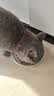 网易严选全价鲜鸡肉猫粮J40 生骨肉无谷主食冻干 成幼猫草本植萃1.5kg 实拍图