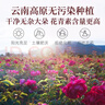 贡苑云南墨红玫瑰花茶110g大朵新花冠王无硫重瓣特玫瑰级花草茶叶 实拍图