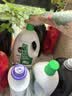 滴露（Dettol）衣物除菌液松木3L 内衣袜子衣物长效杀菌除螨 衣服消毒液儿童可用 实拍图