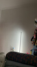 万火遥控落地灯卧室床头灯护眼氛围灯客厅阅读灯婴儿喂奶睡眠灯高级感 实拍图