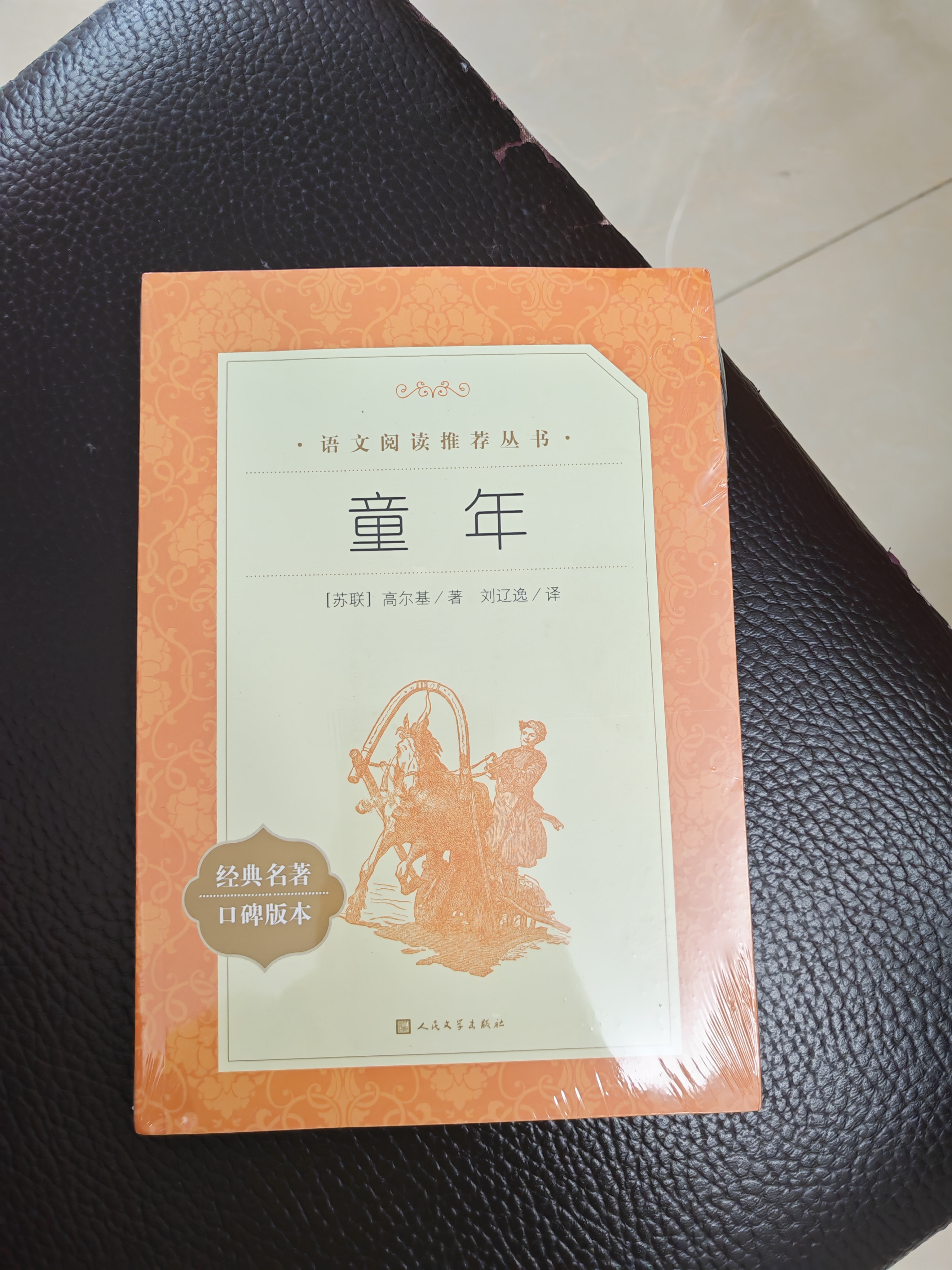 【社长力荐】童年 高尔基著 语文阅读推荐丛书（六年级上必读语文教材快乐读书吧义务教育课标中小学生阅读指导目录初中教材配套暑期阅读学生阅读课外阅读开学季）人民文学出版社 实拍图