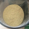 小皮（Little Freddie）有机高铁米粉番茄菠菜南瓜多谷物味160g*1盒 益生菌宝宝婴儿辅食 实拍图