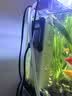森森 小鲤鱼缸过滤器净水循环三合一内置水族箱过滤系统XQP-500F 6W 实拍图