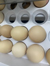京鲜生 无抗保洁鲜鸡蛋30枚/盒 健康轻食 礼盒送礼 1.5kg/盒 源头直发 实拍图