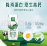 伊利【新鲜日期】金典纯牛奶早餐奶250ml*16盒3.6g乳蛋白 礼盒装 6月 实拍图