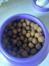 齿一生猫零食猫咪饼干洁齿零食成猫 鸡肉味170g 磨牙减少牙结石 实拍图