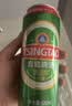 青岛啤酒（TsingTao）经典拉格 浓郁麦香500ml*24罐 整箱装 实拍图