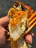 【活蟹】阳澄帝 大闸蟹鲜活  现货特大螃蟹公蟹母蟹精品礼盒装 精品六月黄3.0-3.3两  8只装 实拍图