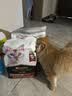 冠能猫粮成猫猫粮鸡肉味2.5kg+全价猫粮成猫三文鱼味2.5kg 混合口味 实拍图