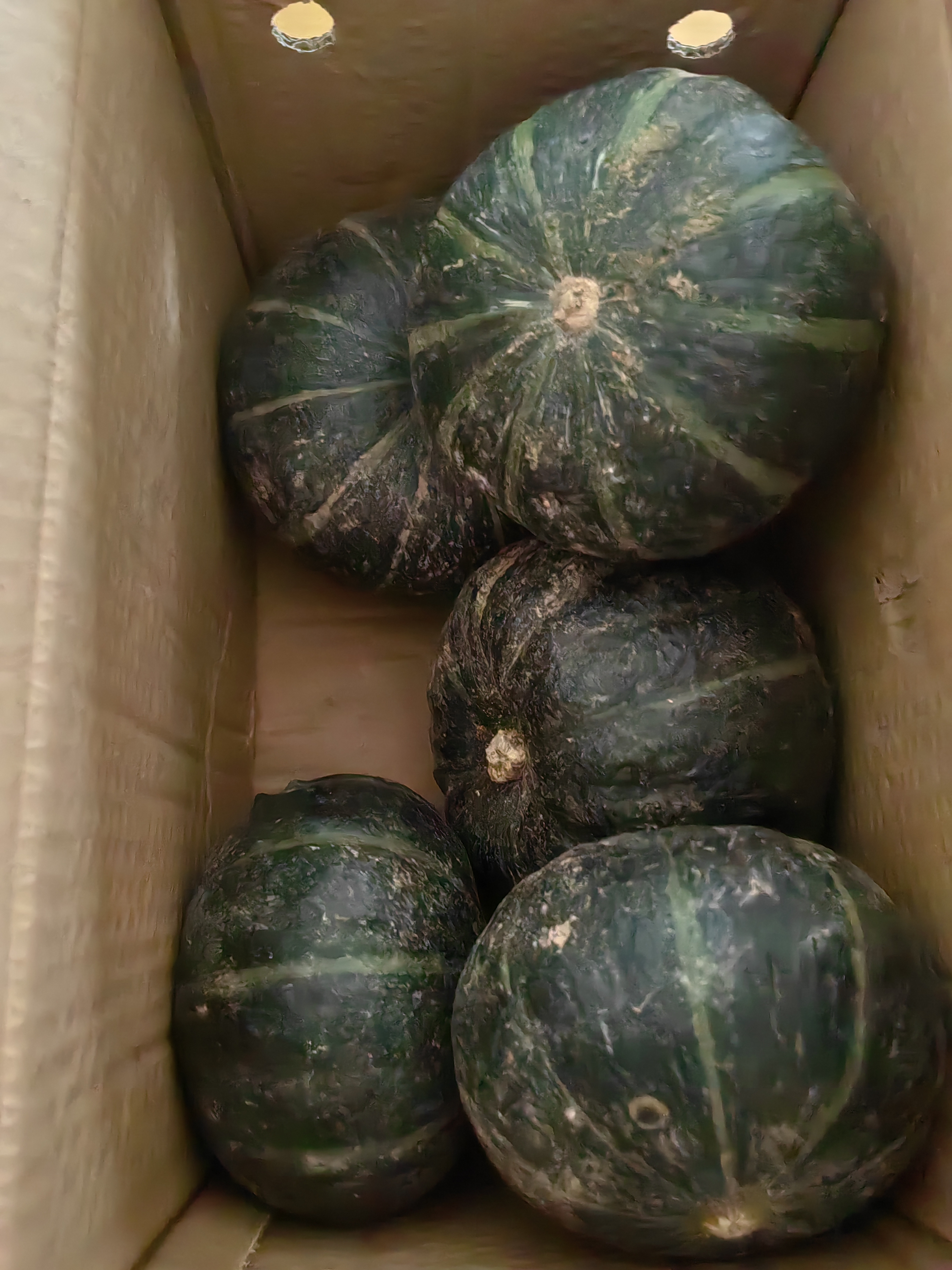 京鲜生 内蒙沙漠贝贝南瓜 净4.5斤(粉糯瓜) 中果300g+辅食 源头直发 实拍图