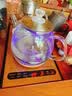 FUNORK全自动上水电热水壶 茶台烧水壶家用办公茶桌一体机茶几嵌入式茶具电茶炉套装 金色双加水蒸茶款 实拍图
