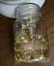 修正维生素e软胶囊VE补充维生素E维e 500mg*100粒 实拍图