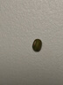 光明牌精品重绿豆棒冰96g*10支 薄荷清凉口感冰棍冷饮雪糕冰激凌家庭装 实拍图