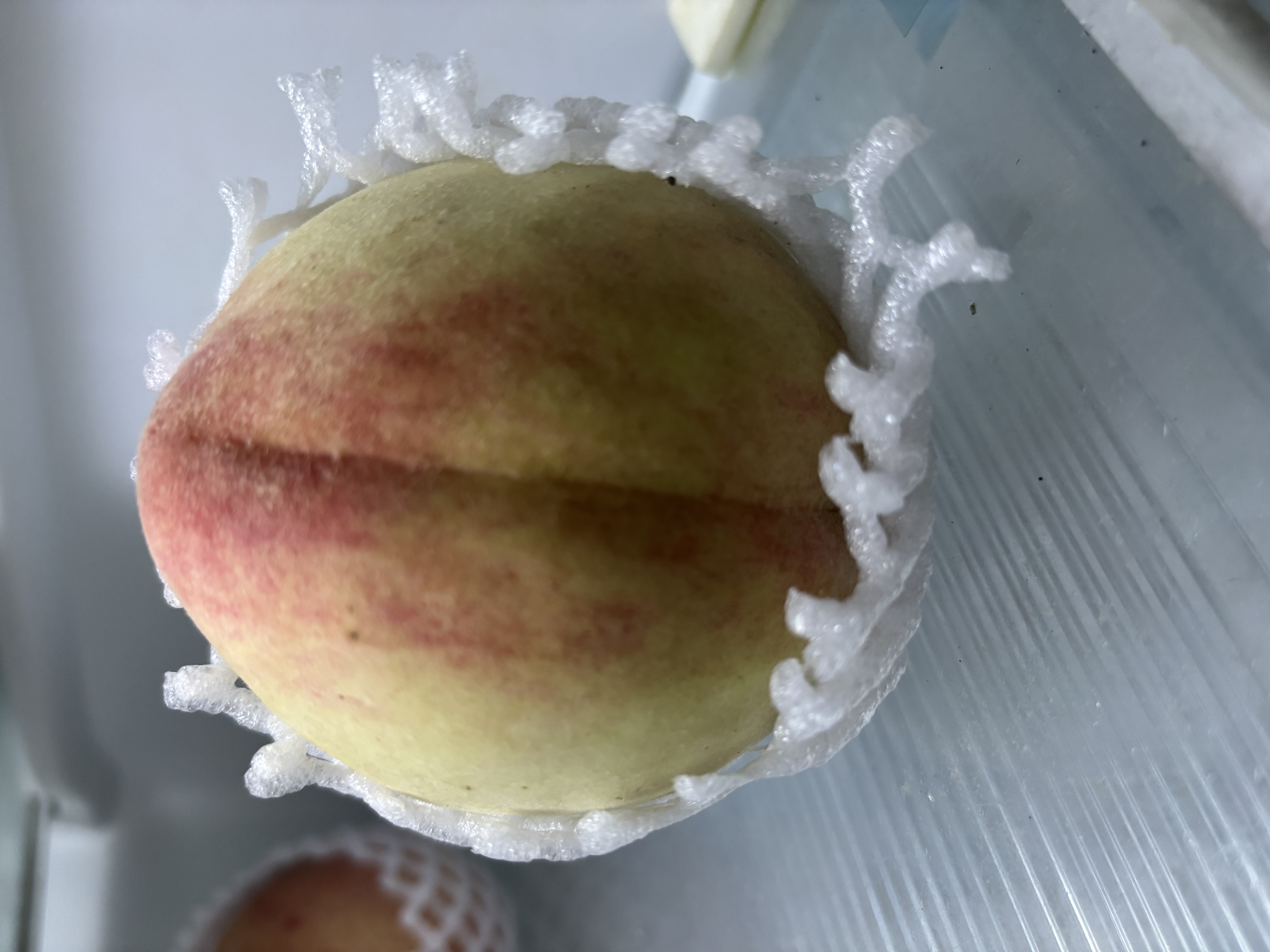 粤迎山东青州蜜桃【闪送-源头直采】现摘新鲜当季应季时令现水果桃子 5斤亲选果【香甜多汁】净4.5斤 实拍图
