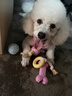 HELLOJOY狗狗玩具球小狗磨牙棒骨头耐咬狗咬胶小型犬宠物用品幼犬自嗨解闷 实拍图