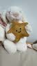 Jellycat怀抱星星邦尼兔毛绒玩偶公仔玩具送礼生日礼物2026春夏新品 怀抱星星邦尼兔 晒单实拍图