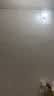 三棵树漆云绘竹炭净味五合一墙面漆5L【调色漆 厂家直送】订制品 实拍图