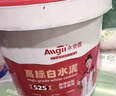 永安固白水泥速干525墙面修补防水堵洞卫生间堵漏神器地面瓷砖填缝材料 实拍图