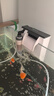 松宝（sobo）鱼缸增氧泵养鱼氧气泵小型家用充氧泵水族箱打氧机增氧泵 双孔3W 实拍图