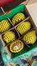 佳沛（zespri）新西兰  阳光金奇异果6粒装 单果约88-103g 猕猴桃水果 实拍图
