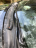 一途丰田卡罗拉专用无骨雨刮器卡罗拉【07-18款】雨刷卡罗拉双擎雨刮原厂原装尺寸汽车雨刷器（1对装）胶条 实拍图
