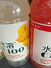 农夫山泉【新口味】东方树叶陈皮白茶500ml*15瓶无糖茶饮料0糖0脂0卡 实拍图