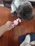HELLOJOY狗狗玩具球小狗磨牙棒骨头耐咬狗咬胶小型犬宠物用品幼犬自嗨解闷 实拍图