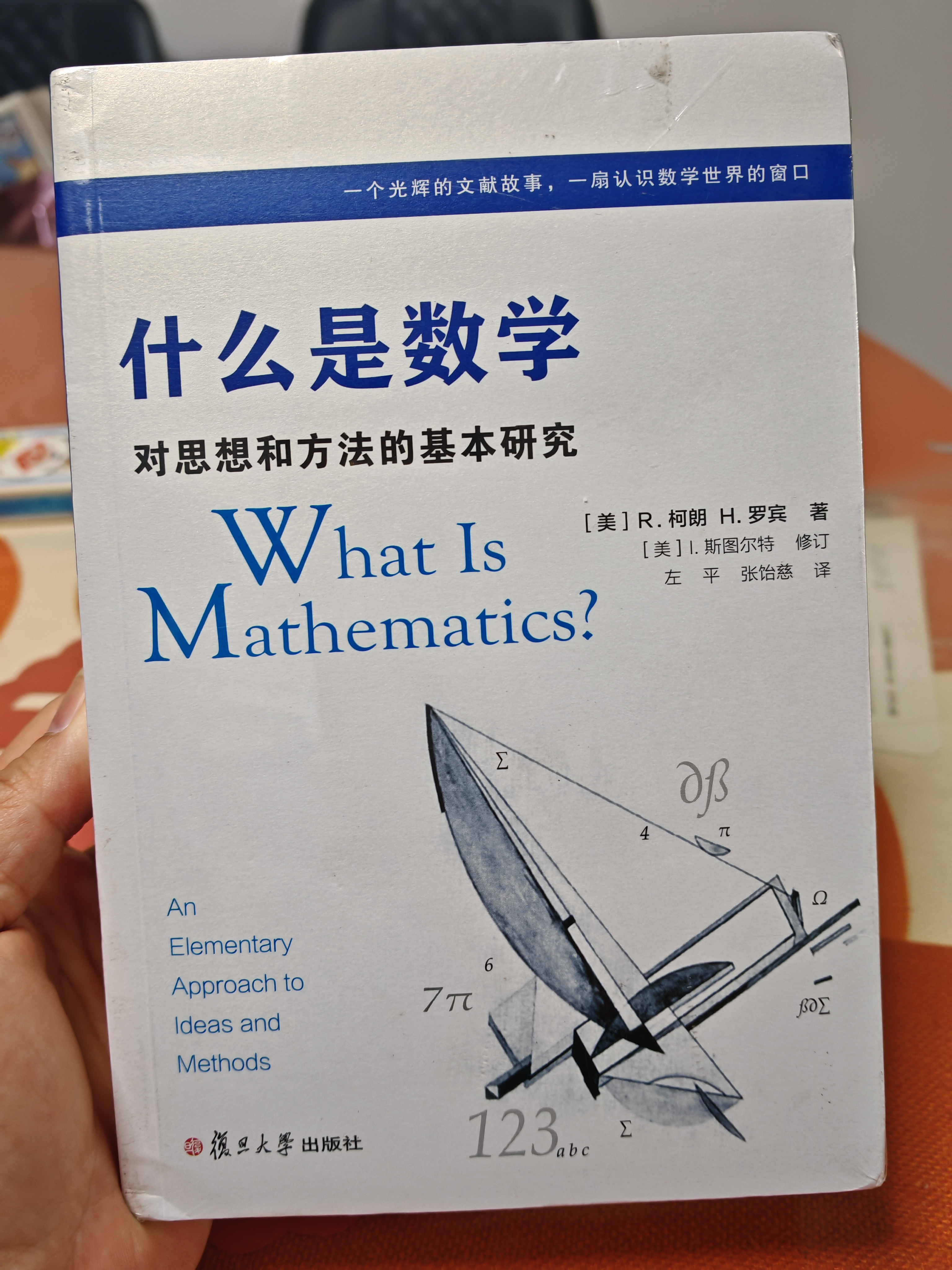 什么是数学：对思想和方法的基本研究（第4版）豆瓣高分数学科普读物 复旦出版 实拍图
