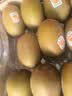佳沛（zespri）新西兰 阳光金果25-27粒原箱特大果单果124-146g 猕猴桃水果礼盒 实拍图