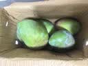 新鲜水果心愿盲盒随机发茅台五粮液榴莲口红鸭蛋甜瓜芒果苹果3 盲盒A 实拍图