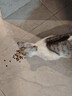好主人（CARE）金装好主人成猫通用全价无谷冻干【体态管理】鸡鱼味成猫粮4.6斤 实拍图