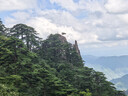 神火（SupFire）户外登山杖铝合金T柄超轻拐杖徒步健走爬山伸缩非折叠棍儿童手杖 实拍图
