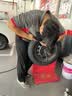 佳通轮胎(Giti)轮胎165/70R14 81H  220 适配 宝骏310/铃木雨燕 实拍图
