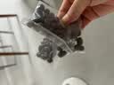 【新人专享】碗莲种七彩水培花卉水养四季莲花荷花种莲藕水培莲子 开口/混色 20粒+生根粉 实拍图