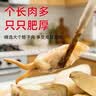 鲜京采 宁波长街蛏子净重2斤装（约90只）鲜活发货 海鲜贝类 源头直发  实拍图