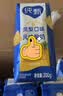 蒙牛纯甄「凤梨菠萝味」风味酸奶200g*10盒 整箱礼盒装 早餐奶酸牛奶 实拍图