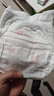 好奇（Huggies）铂金装小桃裤成长裤XL96片(12-17kg)加大号尿不湿【夏季散热王】 实拍图