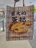 健将男士三角裤棉男士内裤男10A抗菌中腰裤头性感短裤衩雪花款4条装 实拍图