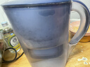碧然德（BRITA）家用净水壶 滤水壶滤芯 MAXTRA+LE 去水垢专家滤芯 6枚装 实拍图